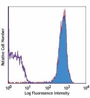 PE/Cyanine5 anti-mouse CD90.2 (Thy1.2) Antibody (105314)