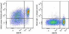 APC/Cyanine7 anti-human CD223 (LAG-3) Antibody (369219)