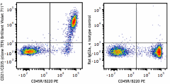 Brilliant Violet 711™ anti-mouse CD21/CD35 (CR2/CR1) Antibody (123435)