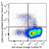 Brilliant Violet 421™ anti-mouse CD34 Antibody (152207)