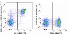 Brilliant Violet 711™ anti-mouse CD185 (CXCR5) Antibody (145529)