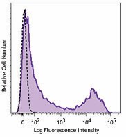 PE/Dazzle™ 594 anti-rat CD90/mouse CD90.1 (Thy1.1) Antibody (202541)
