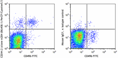 PerCP/Cyanine5.5 anti-mouse CD244.2 (2B4 B6 Alloantigen) Antibody (133513)