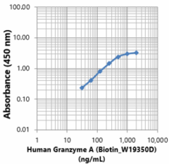 Biotin anti-human Granzyme A Antibody