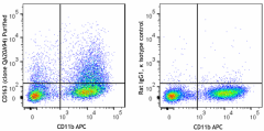 Purified anti-mouse CD163 Recombinant Antibody (111802)