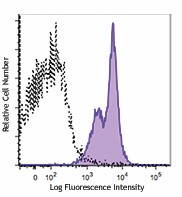 PE/Cyanine7 anti-mouse H-2D b Antibody (111515)