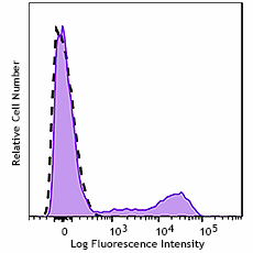 GMP APC anti-human CD94 Antibody (260386)