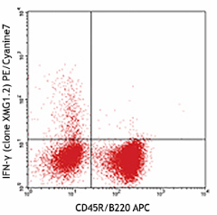 PE/Cyanine7 anti-mouse IFN-γ Antibody (505825)