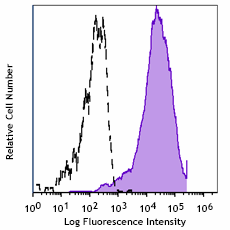 APC anti-rat CD86 Antibody (200315)