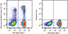 Spark YG™ 593 anti-human CD8 Recombinant Antibody (303807)