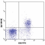 PE anti-mouse CD127 (IL-7Rα) Antibody (121111)
