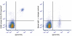 PE/Cyanine7 anti-human CD40 Antibody (334321)