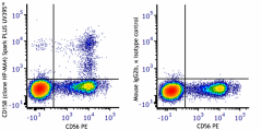 Spark PLUS UV395™ anti-human CD158 (KIR2DL1/S1/S3/S5) Antibody (339524)