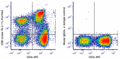 Purified anti-pig CD8 Antibody (251202)