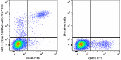 APC/Fire™ 810 anti-mouse NK-1.1 Antibody (156519)