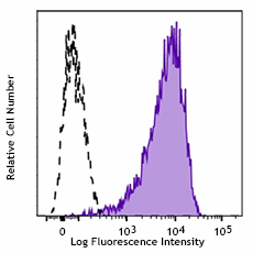 Biotin anti-mouse CD146 Antibody (134716)