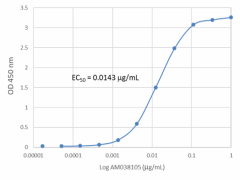 Purified anti-SARS-CoV-2 S Protein S1 Recombinant Antibody (940701)