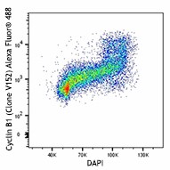 Alexa Fluor® 488 anti-Cyclin B1 Antibody (647907)