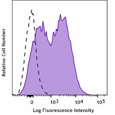 PE anti-mouse CD115 (CSF-1R) Antibody (165203)