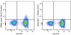 Purified anti-human EPHB6 Antibody (384302)