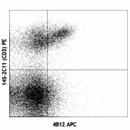 APC anti-mouse CD197 (CCR7) Antibody (120107)