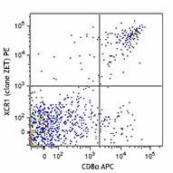 PE anti-mouse/rat XCR1 Antibody (148203)