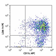 PE anti-mouse CD301 (MGL1/MGL2) Antibody (145703)