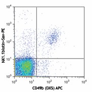 Biotin anti-mouse NK-1.1 Antibody (108703)