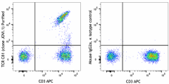 Purified anti-human TCR Cβ1 Antibody (383502)