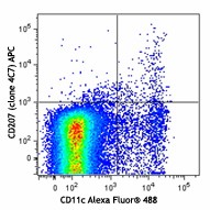 APC anti-mouse/human CD207 (Langerin) Antibody (144205)