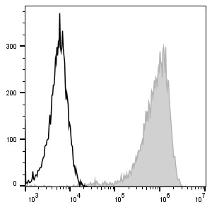PE Anti-Mouse F4/80 Antibody[CI:A3-1] (E-AB-F0995D)
