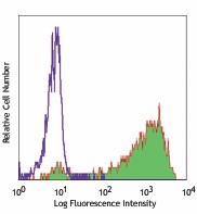 PE anti-human CD163 Antibody (333605)