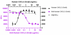 Ultra-LEAF™ Purified anti-human CXCL2 (Groβ) Antibody (311001)