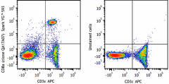Spark YG™ 593 anti-mouse CD8a Recombinant Antibody (155023)