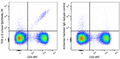 PE anti-mouse TCR γ/δ Recombinant Antibody (111203)