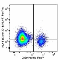 Purified anti-human HLA-F Antibody