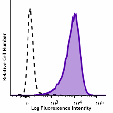 PE/Dazzle™ 594 anti-human LGR5 (GPR49) Antibody (373809)