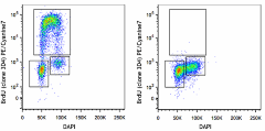 PE/Cyanine7 anti-BrdU Antibody (364117)