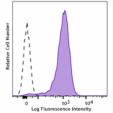 Brilliant Violet 785™ anti-human CD107b (LAMP-2) Antibody (354313)