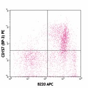 PE anti-mouse CD157 (BST-1) Antibody (140203)