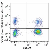 Brilliant Violet 510™ anti-human CX3CR1 Antibody (341621)