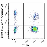 PE/Dazzle™ 594 anti-human CX3CR1 Antibody (341623)