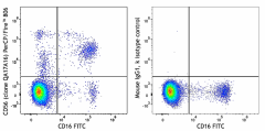 PerCP/Fire™ 806 anti-human CD56 (NCAM) Recombinant Antibody (392439)