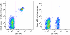 PerCP/Cyanine5.5 anti-human CD268 (BAFF-R) Antibody (316918)