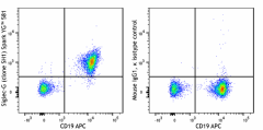 Siglec-G (clone SH1) Spark YG™ Antibody (163311)