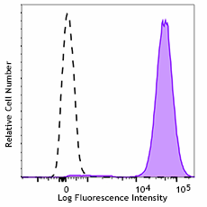 Brilliant Violet 605™ anti-mouse H-2Kd Antibody (116631)