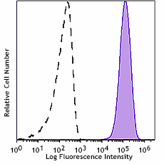 Spark YG™ 593 anti-mouse CD45 Antibody (103182)