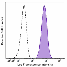 PE anti-human CD13 (982802)