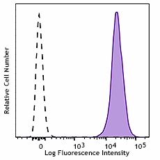 PE/Cyanine7 anti-mouse H-2Kd/H-2Dd Antibody (114717)