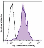 Brilliant Violet 605™ anti-human CD80 Antibody (305225)